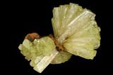 Yellow-Green Adamite Crystal Cluster - Durango, Mexico #127032-1